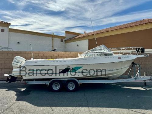 Aquasport 245 Explorer ficha tecnica 